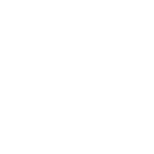 Aiesec