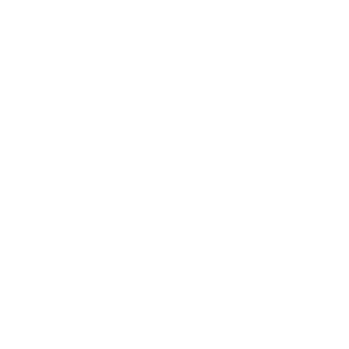 Berlitz 